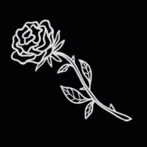 Meet your Posher, Nathan